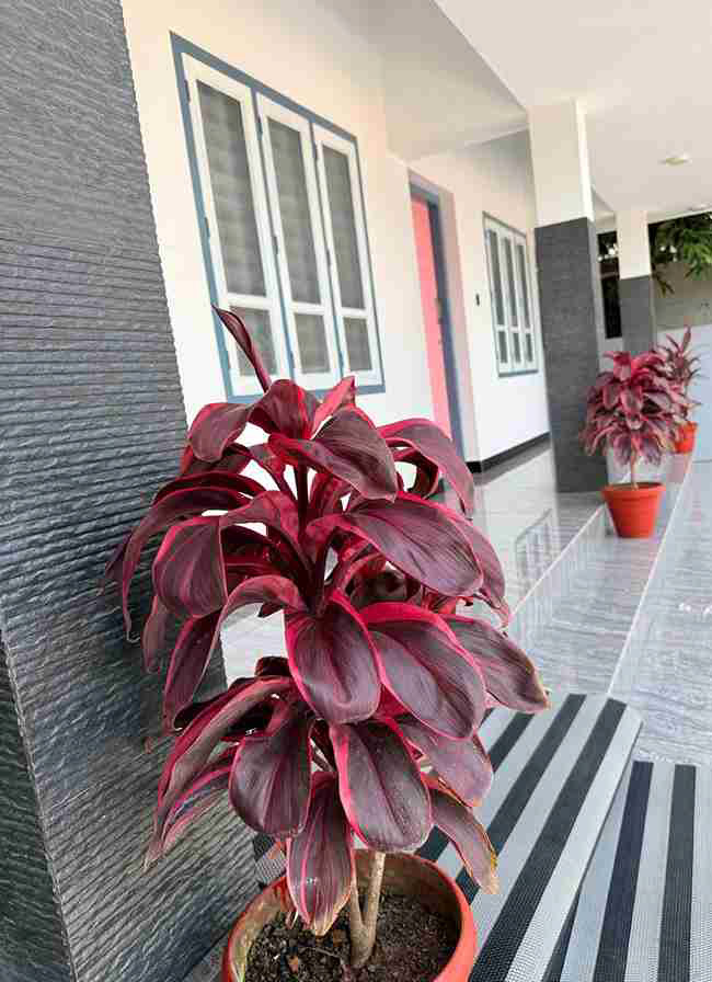 Jumayira Residency